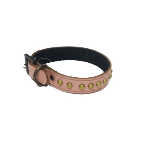 Rangers Dog Leather Collar 1 Inch